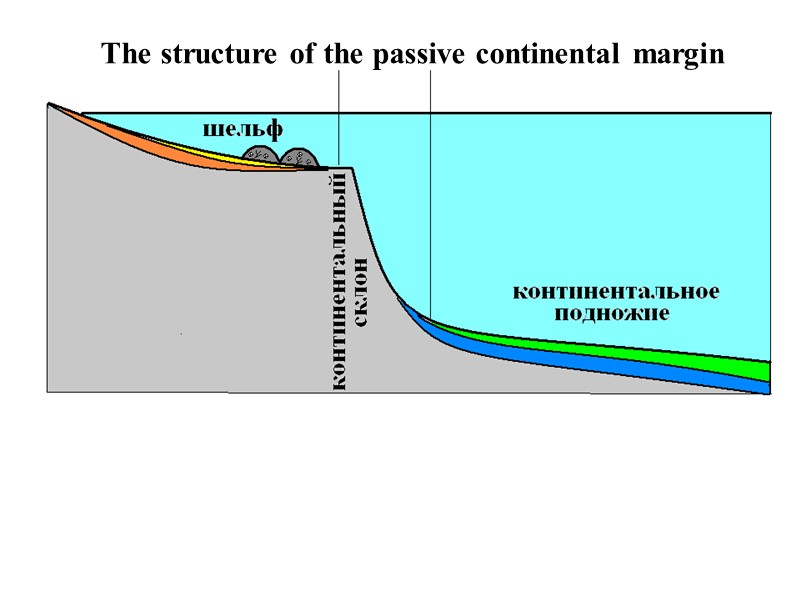 The structure of the passive continental margin